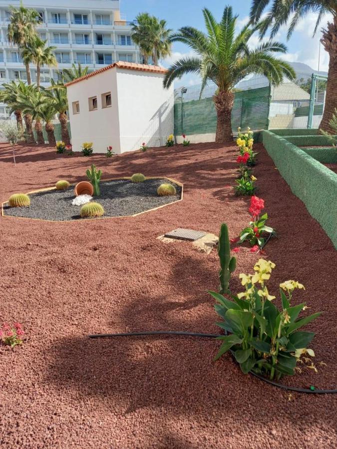 Apartamento Vacacional Playa Playa de las Americas  Exterior photo